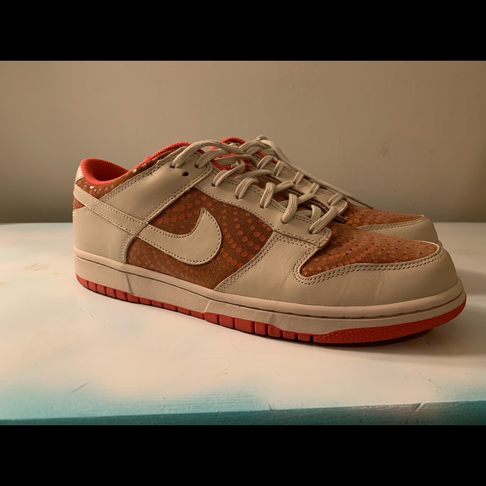 Nike 6.0 men’s sneaker